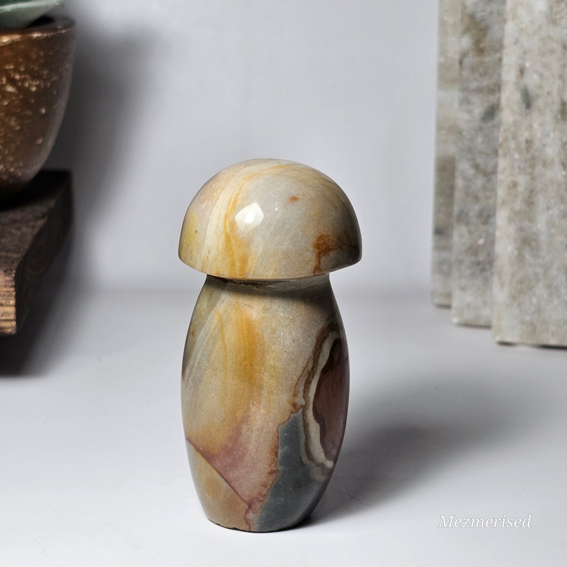 Alternate side view of Polychrome Jasper mushroom showing natural colour variation.