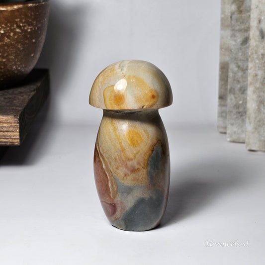 Side view of Polychrome Jasper mushroom showing beige, golden, brown and green colours.