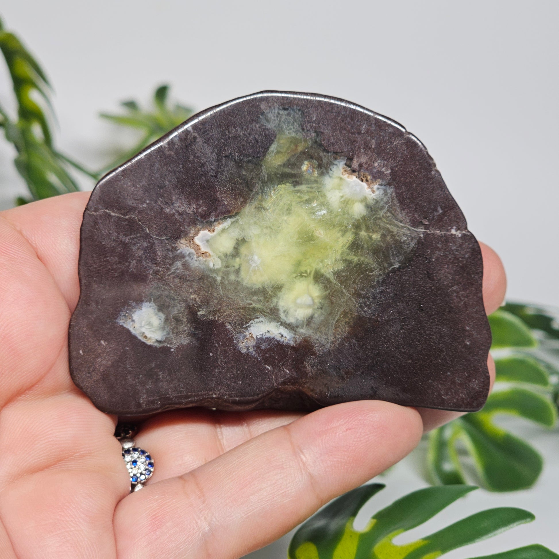 Polished Prehnite slab photographed in hand to show size, translucent green tones, and natural earthy inclusions with a smooth polished finish.