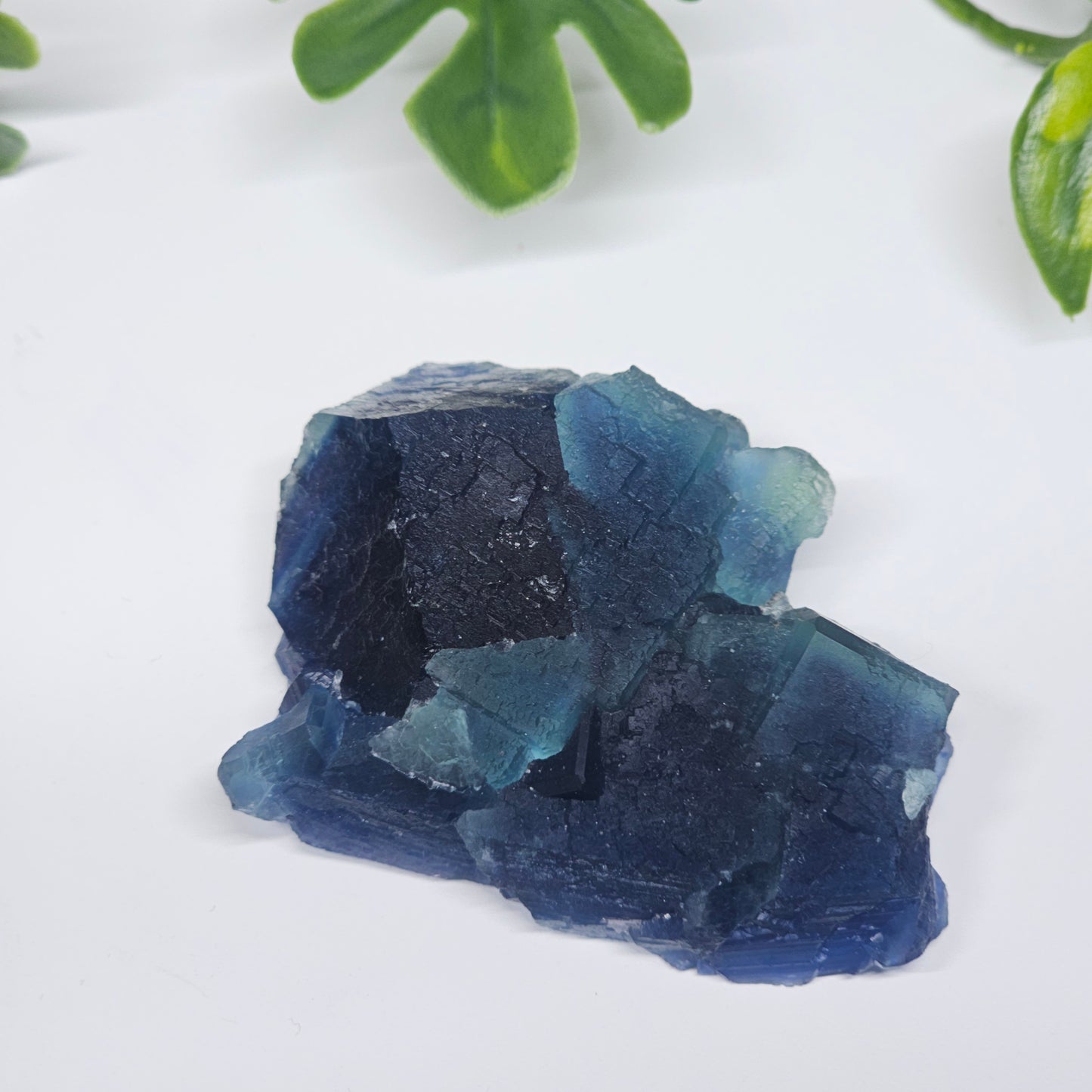 Collector-grade Blue Fluorite cluster resting on a flat surface, showcasing natural cubic crystal formations.