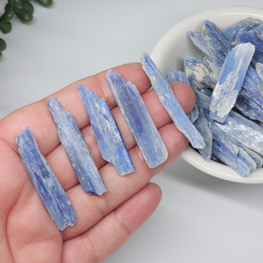 Raw Blue Kyanite crystals shown in hand, highlighting natural size, texture, and layered blue formations of each unique rough piece