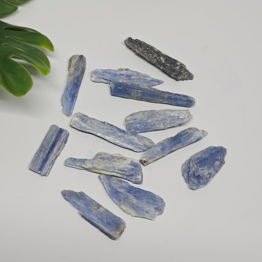 Raw Blue Kyanite mini crystal pack featuring 12 natural pieces (20g total)