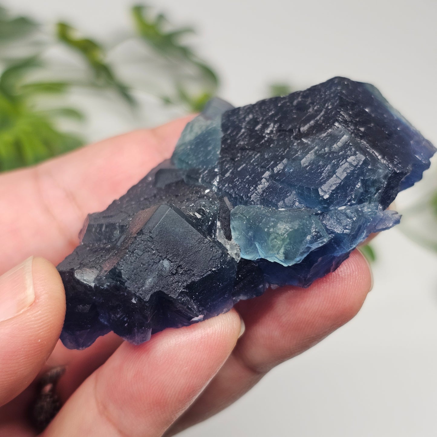 Side angle of a collector-grade Blue Fluorite cluster with deep blue cubic crystals from Zhejiang Province, China.
