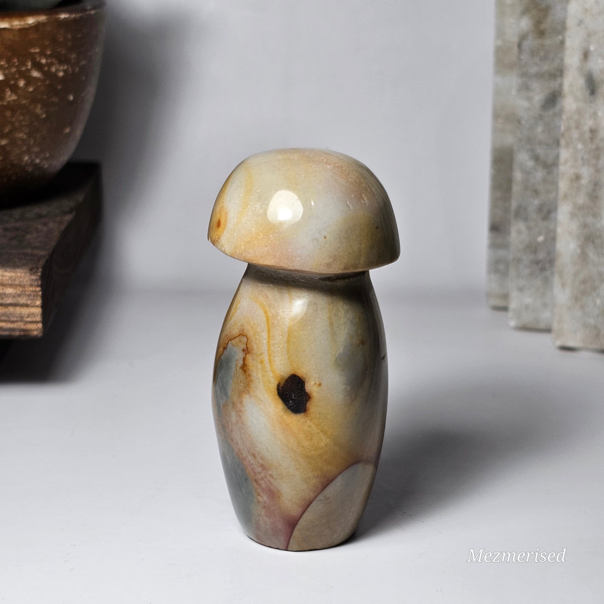 Back view of Polychrome Jasper mushroom.