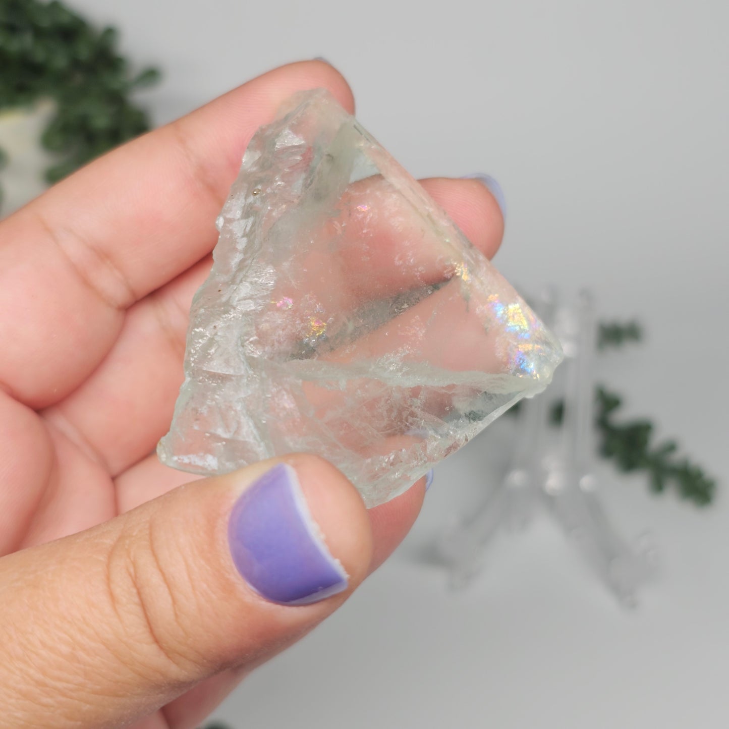 Small transparent Green Fluorite slab held in hand, showing natural internal rainbows and glass-like clarity in sunlight.