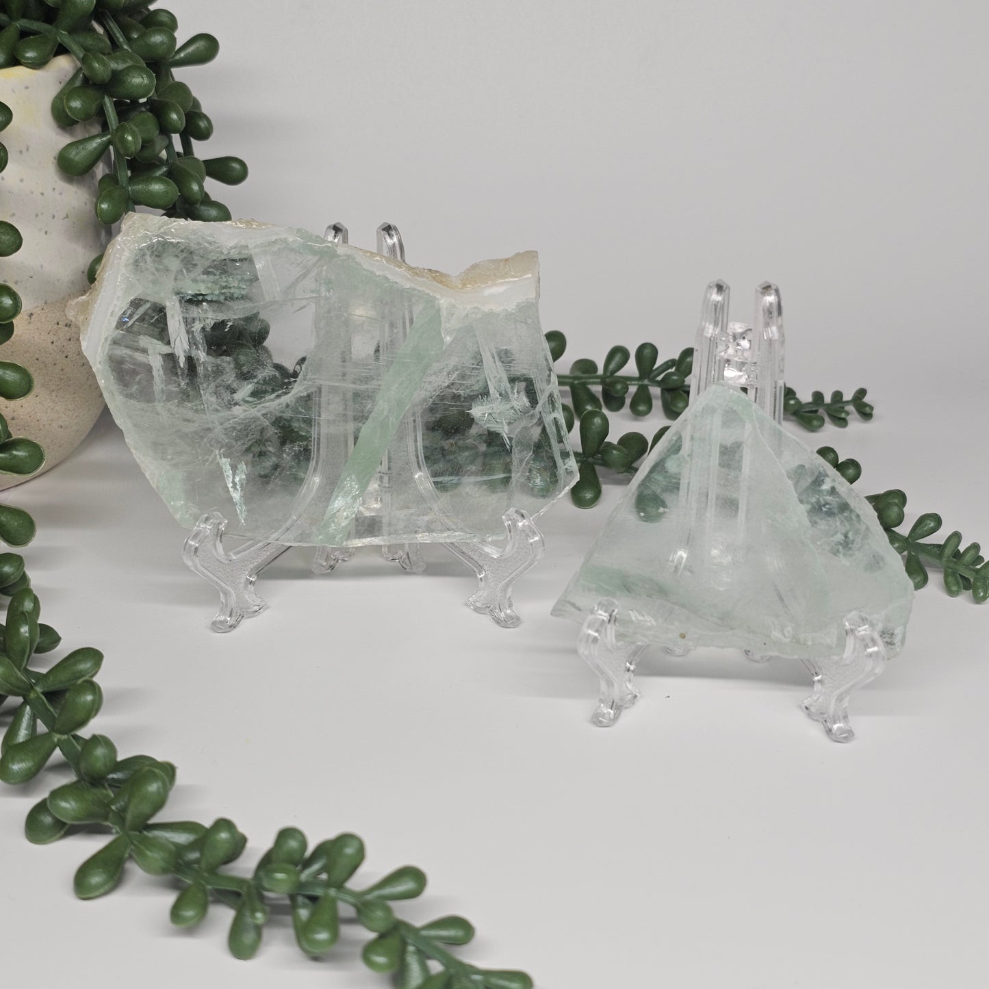 Small and medium Green Fluorite slabs displayed together on clear stands, showcasing differences in size.