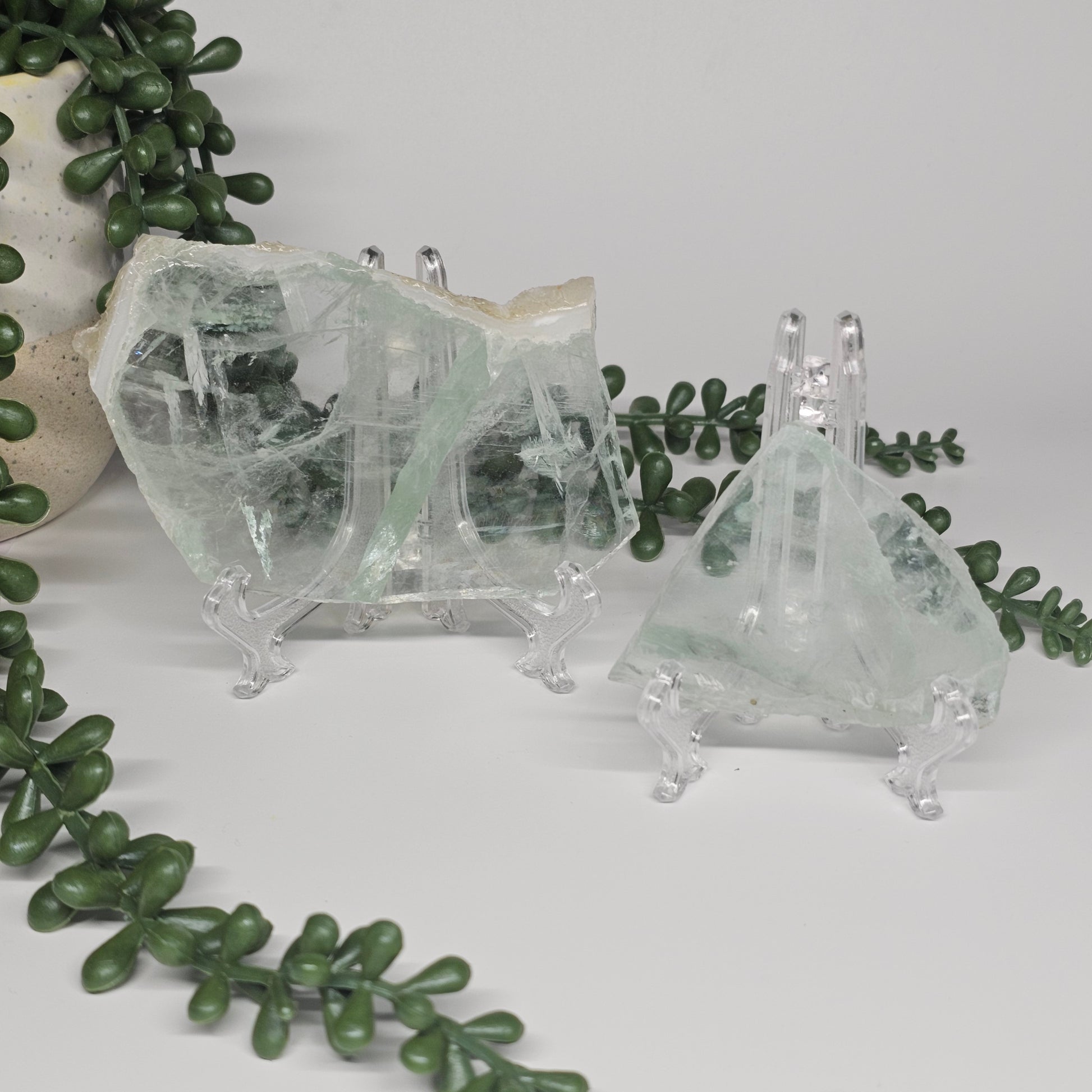 Small and medium Green Fluorite slabs displayed together on clear stands, showcasing differences in size.