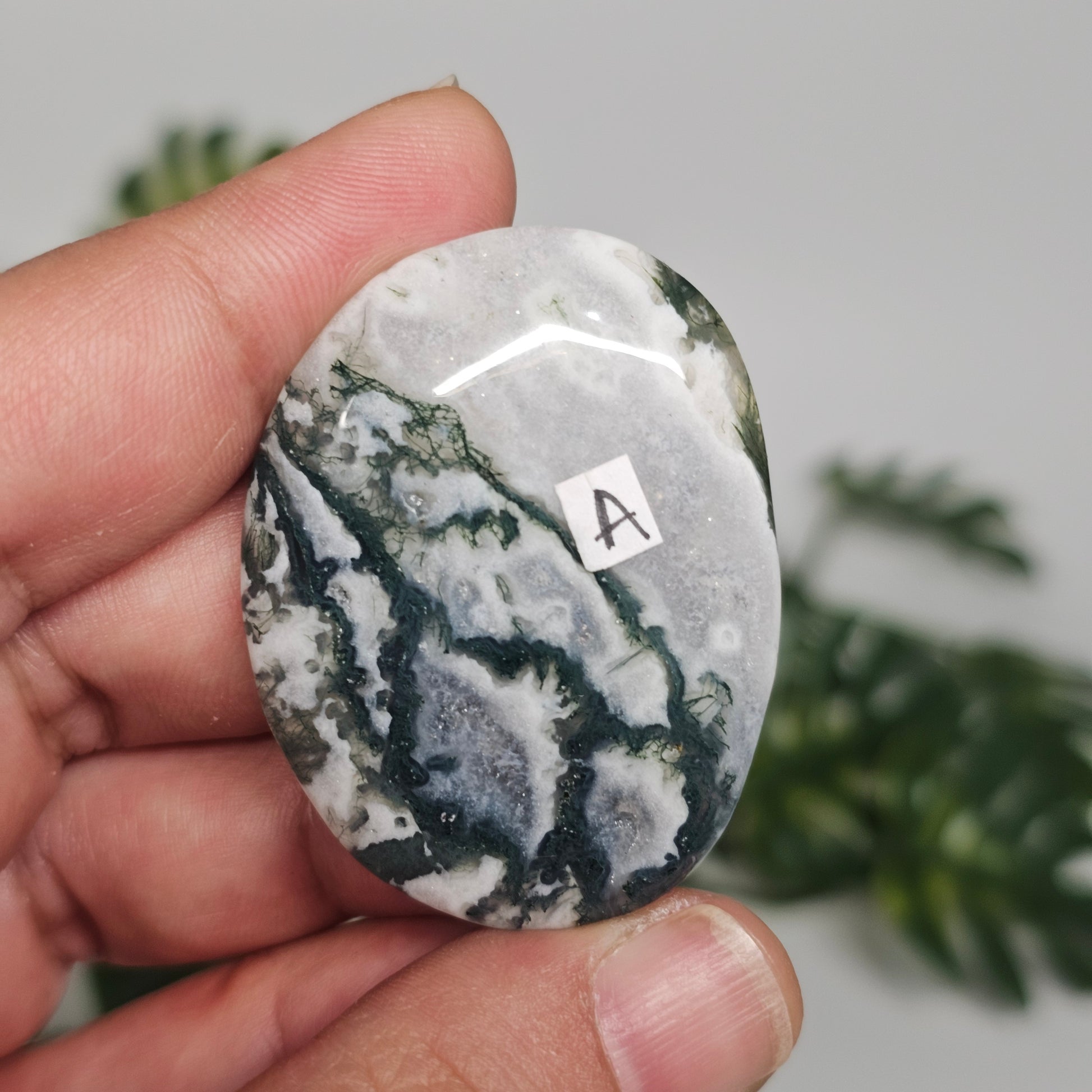 Reverse side of Tree Agate Palm Stone A shown in hand, highlighting its unique markings, colour variations, and polished finish.