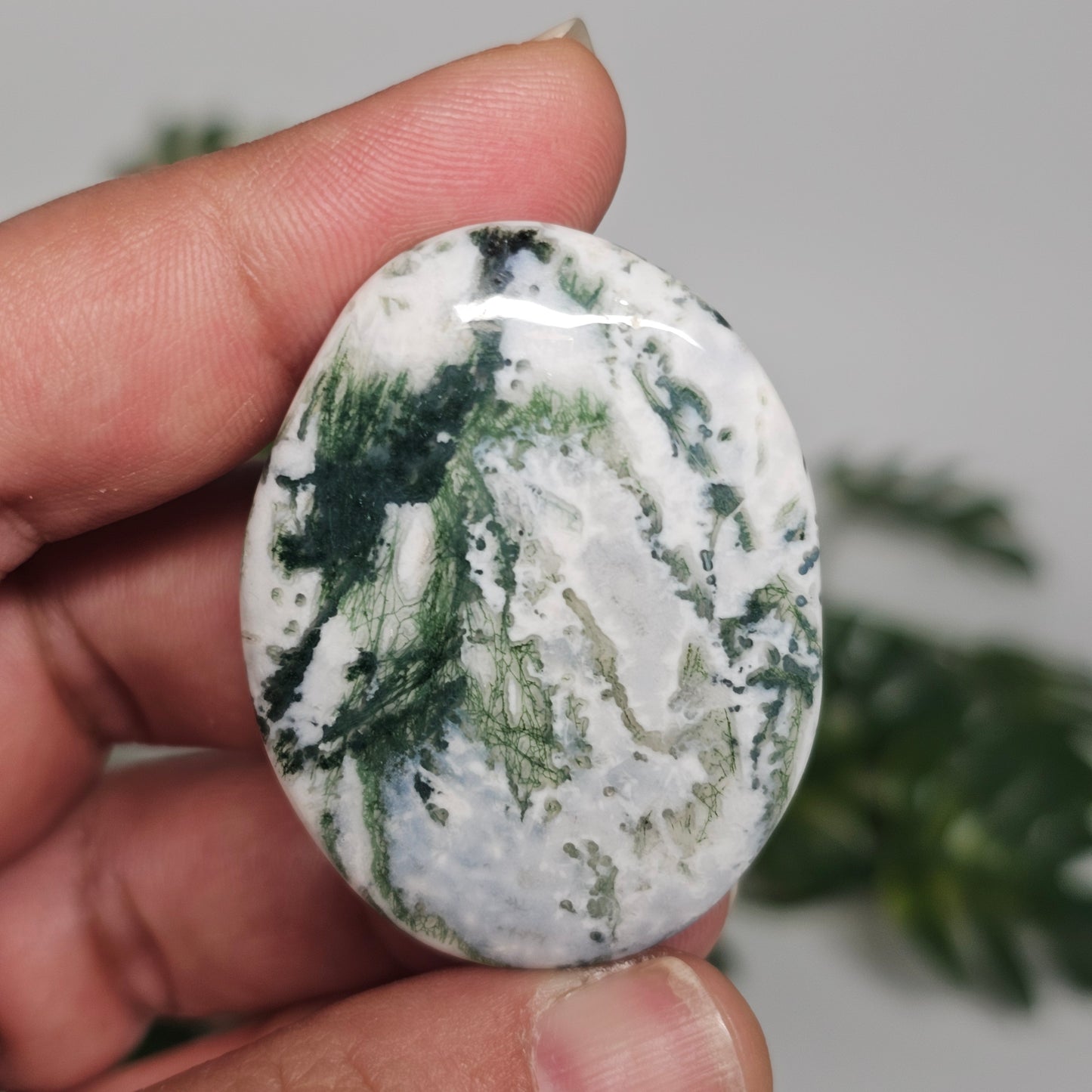 Tree Agate Palm Stone B held in hand, showcasing its smooth polished surface, natural green dendritic formations, and individual character.