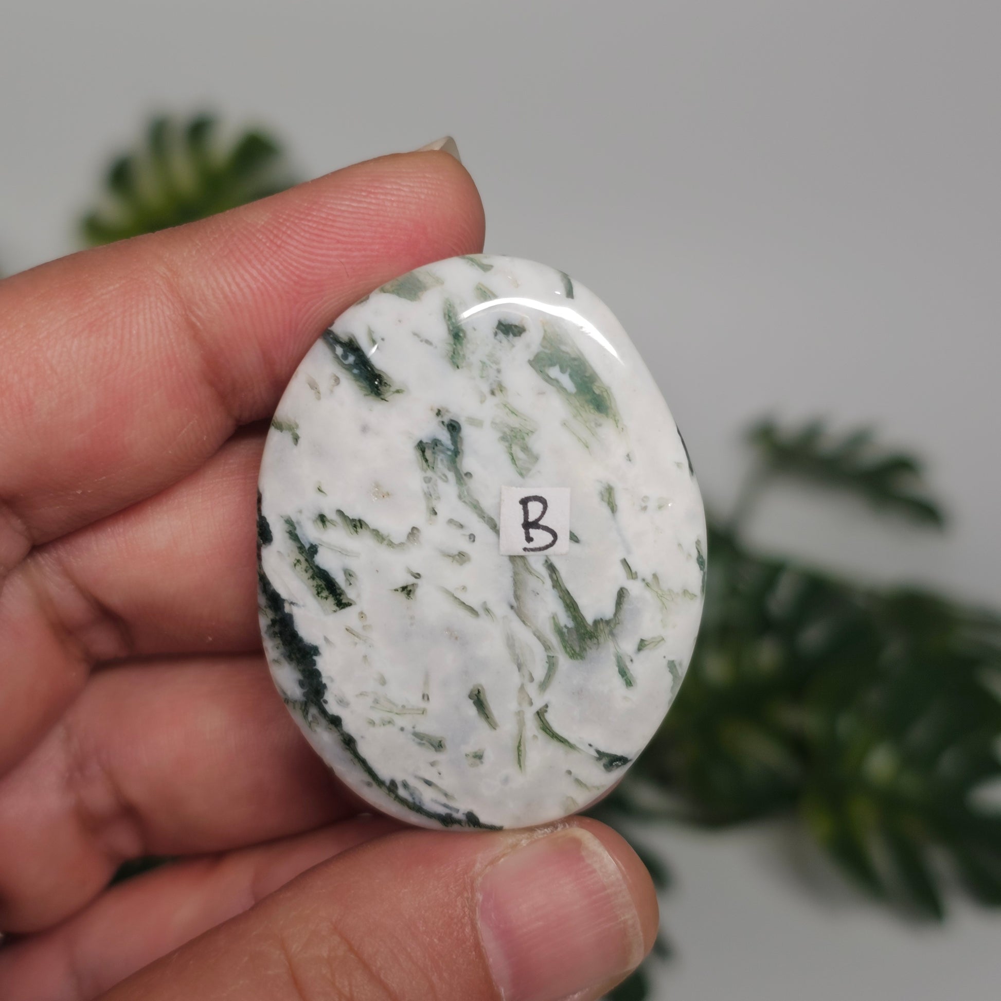 Reverse side of Tree Agate Palm Stone B displayed in hand, revealing its unique natural patterns and earthy green details.