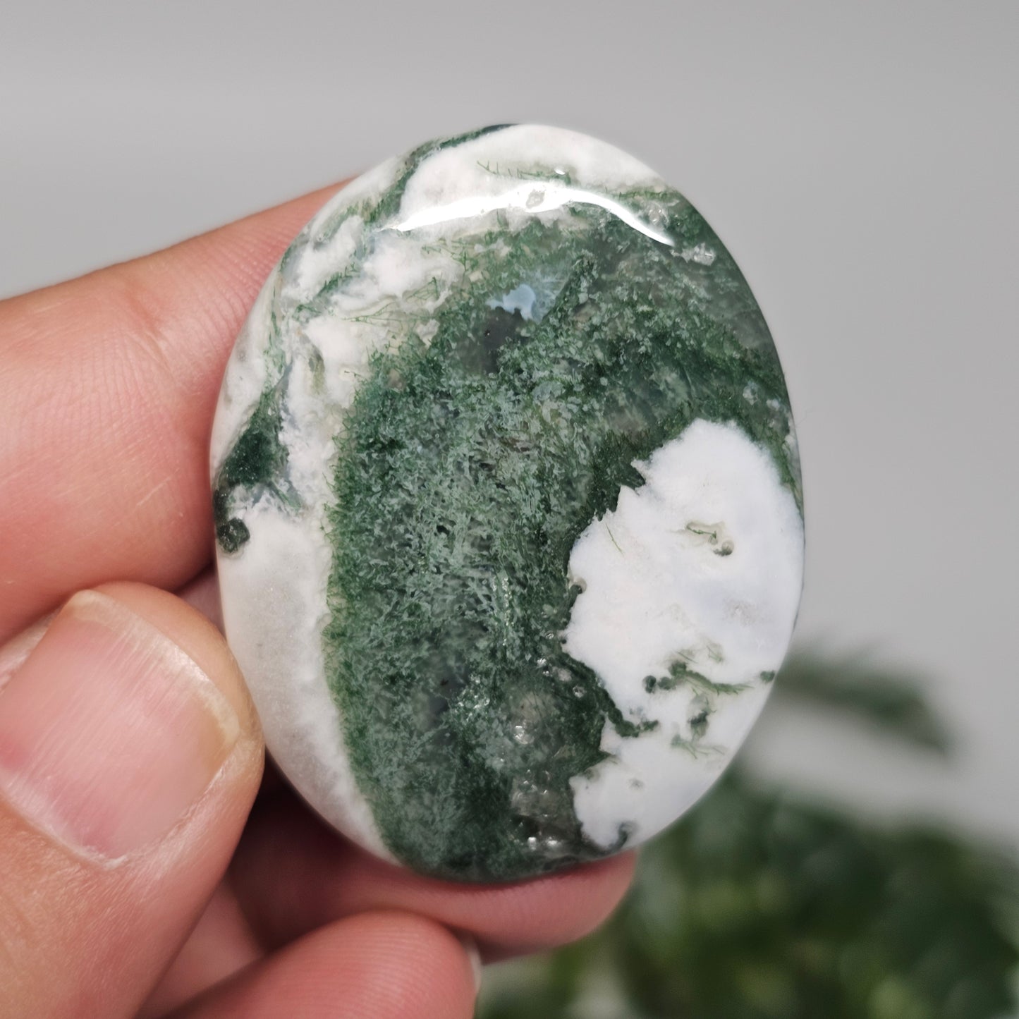 Tree Agate Palm Stone C held in hand, highlighting its polished finish, natural inclusions, and calming green-and-white appearance.