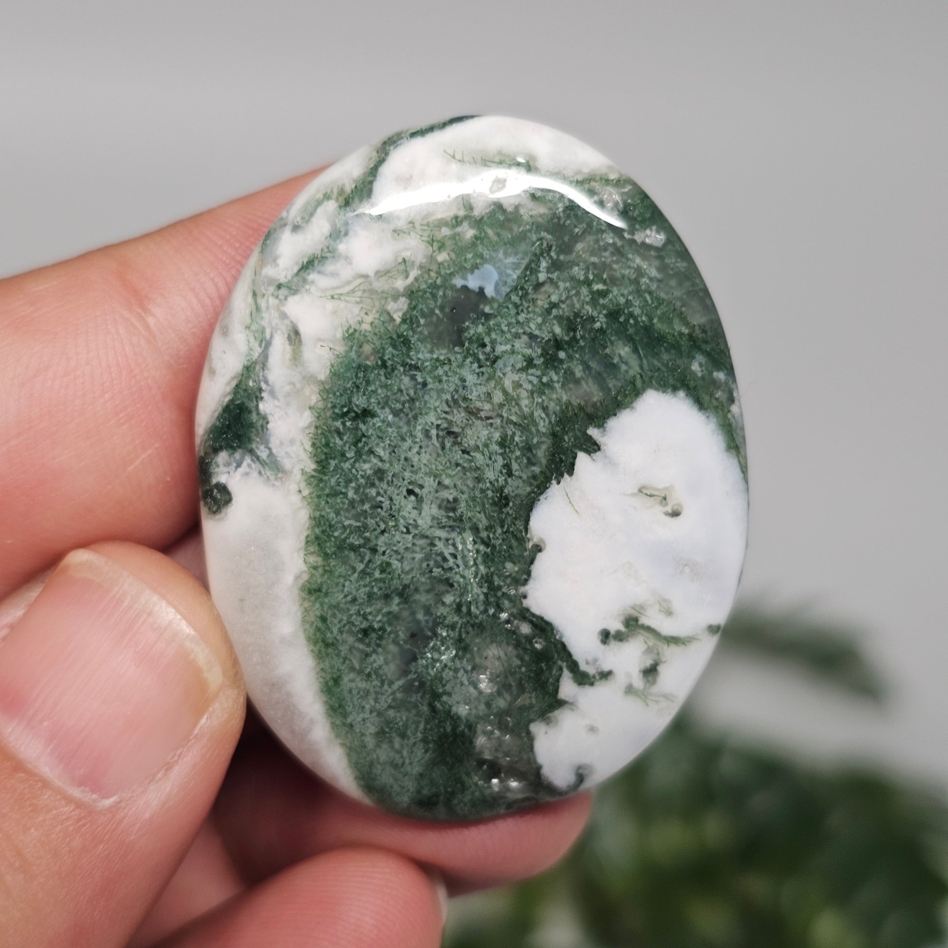 Tree Agate Palm Stone C held in hand, highlighting its polished finish, natural inclusions, and calming green-and-white appearance.