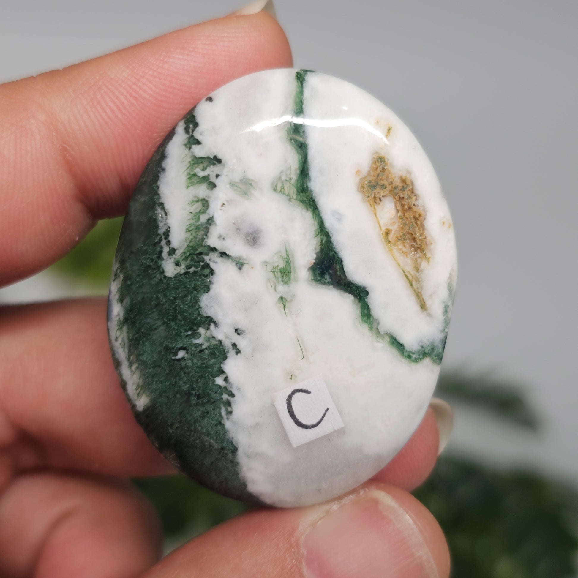 Reverse side of Tree Agate Palm Stone C shown in hand, displaying its distinctive patterning and natural crystal characteristics.