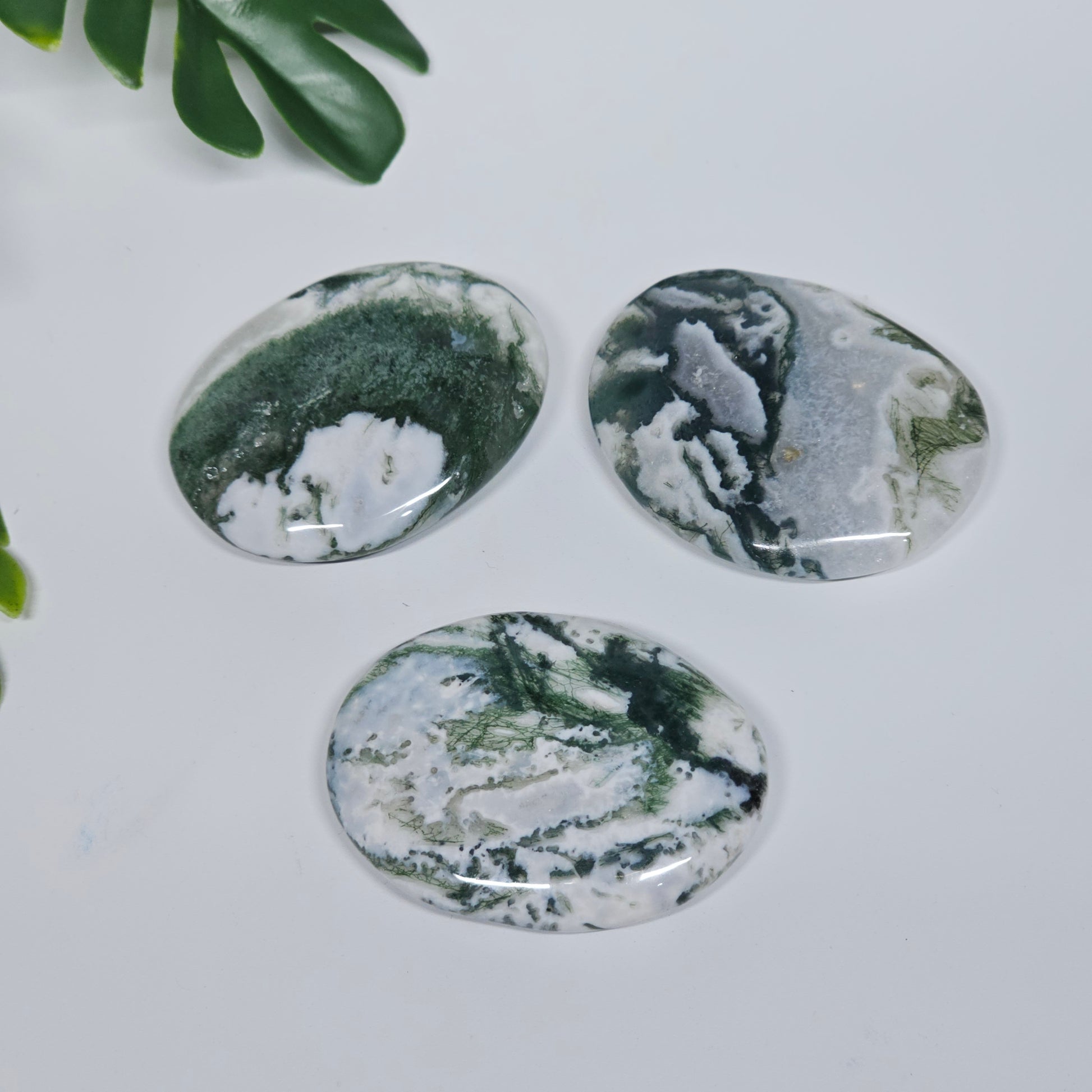 Three polished Tree Agate palm stones displayed on a flat surface, showcasing their natural green dendritic patterns, smooth finish, and unique earthy appearance.