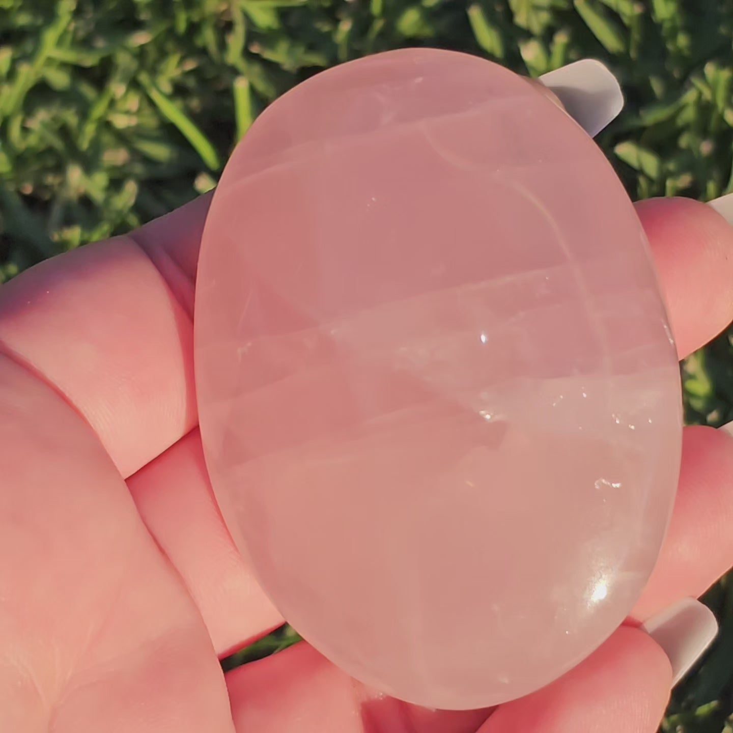 High Quality Large Rose Quartz Palm Stone With Vibrant Chatoyance (F)