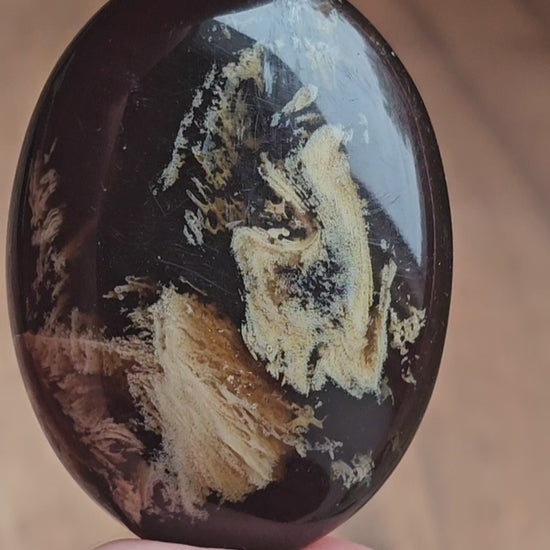 Amber & Petrified Wood Palm Stone with Blue UV Reaction | Sumatra - Indonesia (#3)