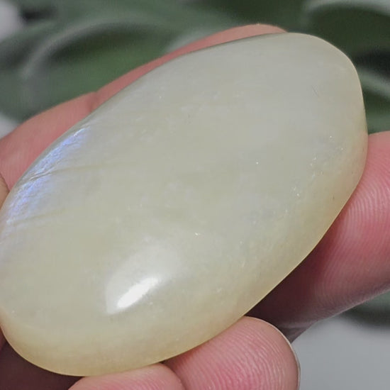 Small sized Rainbow Moonstone palm stone with a beautiful blue flash.