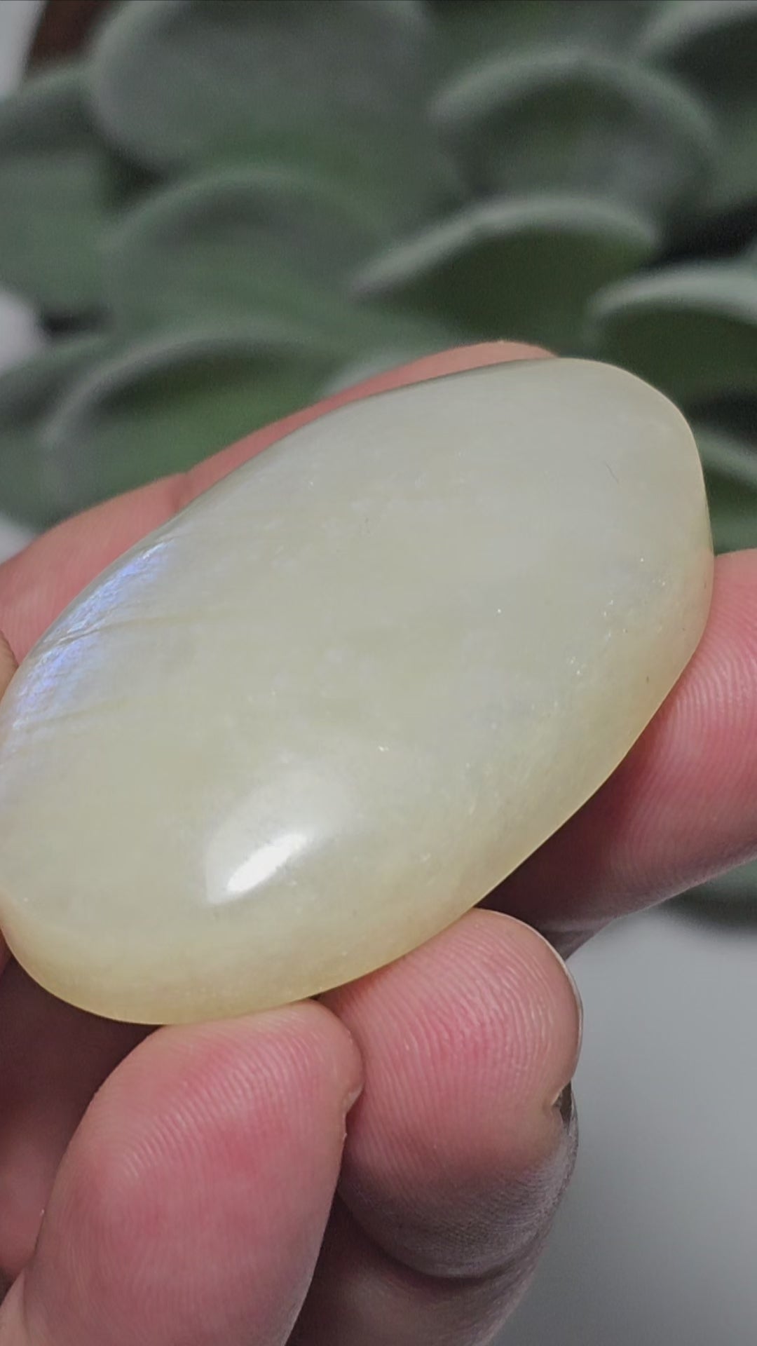 Small sized Rainbow Moonstone palm stone with a beautiful blue flash.