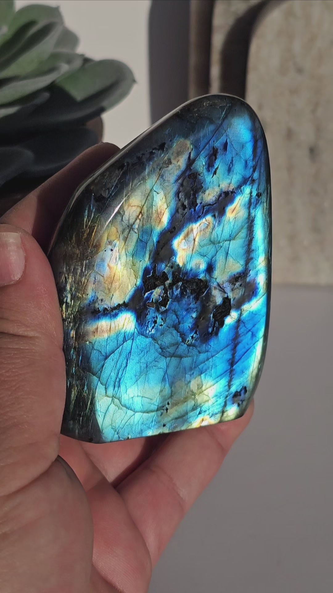 Labradorite Freeform | E