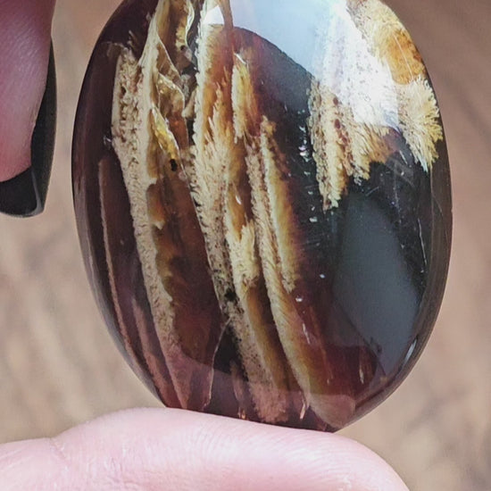 Amber & Petrified Wood Palm Stone with Blue UV Reaction | Sumatra - Indonesia (#13)