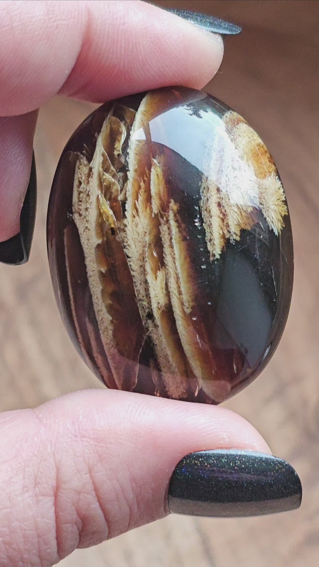 Amber & Petrified Wood Palm Stone with Blue UV Reaction | Sumatra - Indonesia (#13)