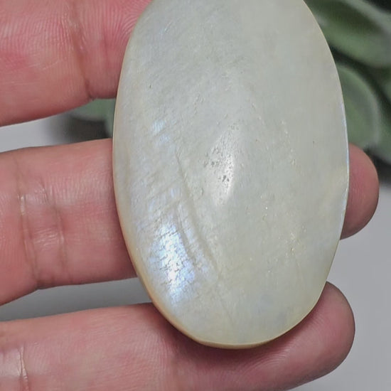 Medium sized Rainbow Moonstone palm stone with a beautiful blue flash.