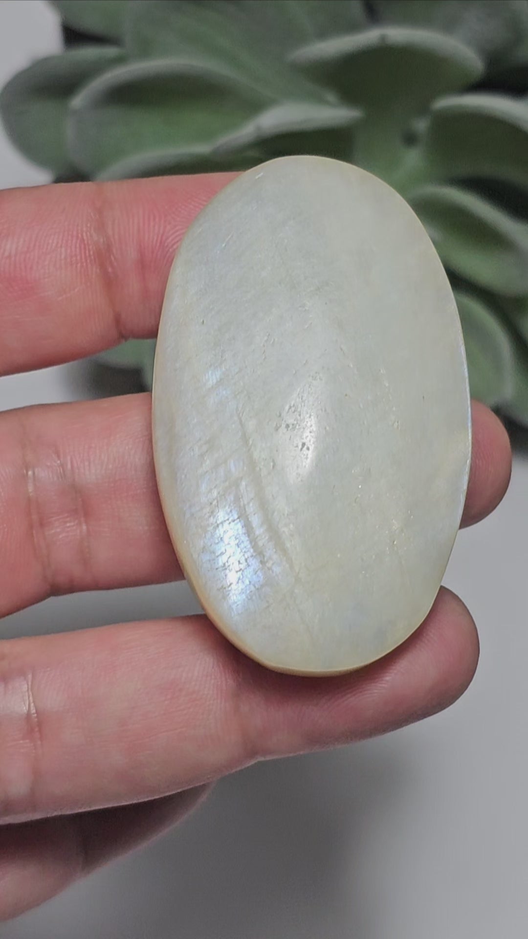 Medium sized Rainbow Moonstone palm stone with a beautiful blue flash.