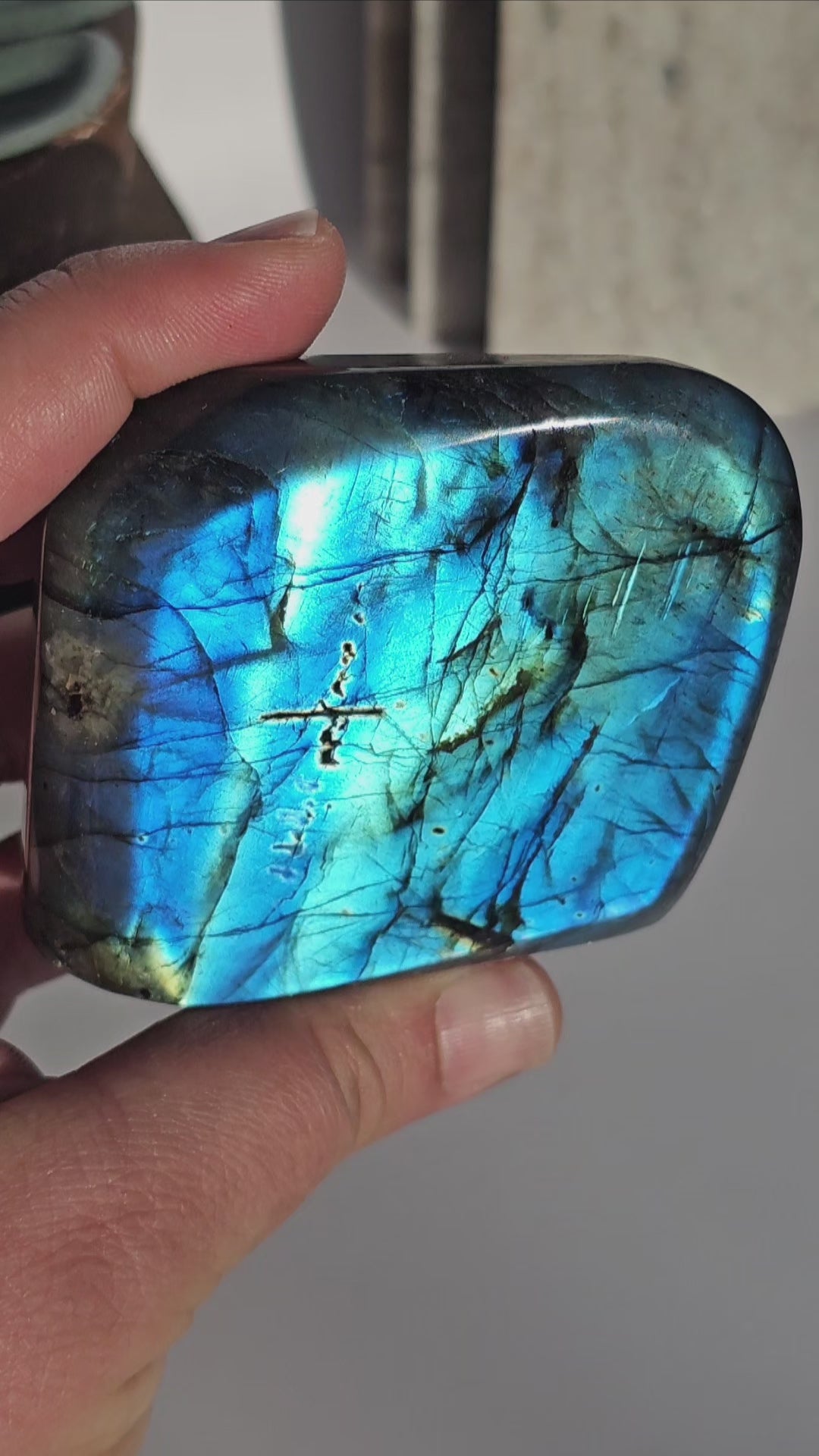 Labradorite Freeform | D