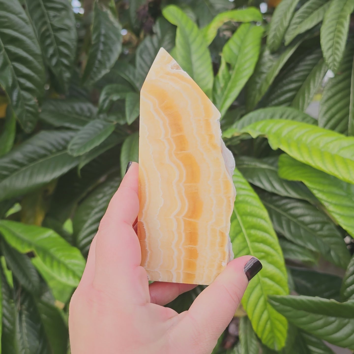 Polished yellow calcite slab tower with raw edge and beautiful banding.  Approx. 13.9 x 5.8 x 3 Approx. 474g | Birthday Gifts, Anniversary Gifts, Valentine's Day, Christmas, Easter, Eid, Mother's Day, Diwali, Hannukah, Women's, Girl's, Gifts for her, Gifts for Girlfriend, Gifts for Mom, Gifts for Mum, Gifts for Friend, Handmade Gifts, Handmade Jewelry, New Year's Eve, Graduation, Boho, Hippie, Minimalist, Gemstone, Crystal, Crystal Healing