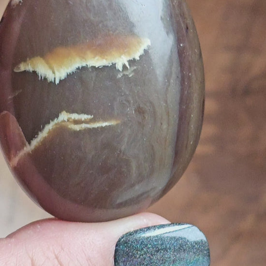 Amber & Petrified Wood Palm Stone with Blue UV Reaction | Sumatra - Indonesia (#21)