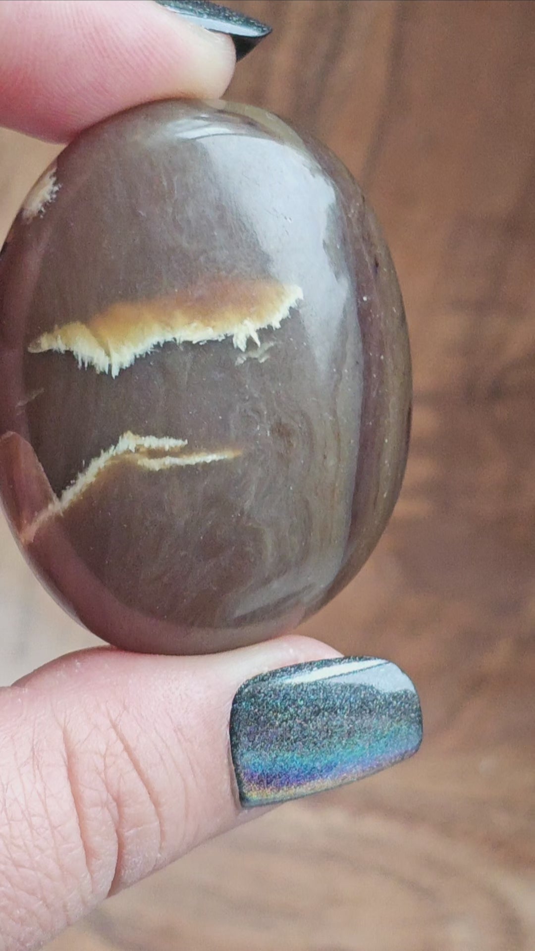 Amber & Petrified Wood Palm Stone with Blue UV Reaction | Sumatra - Indonesia (#21)