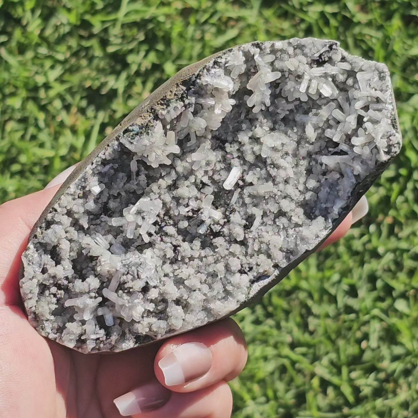 Black Chalcedony with Stilbite Blades