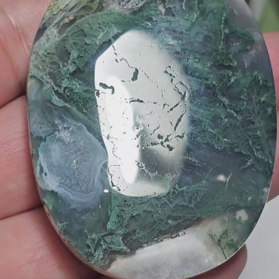 Moss Agate palm stone from India