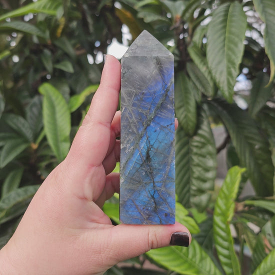 High blue flash Labradorite tower 3 Approx. 12.7 x 3.6 x 2.6  Approx. 275g | Birthday Gifts, Anniversary Gifts, Valentine's Day, Christmas, Easter, Eid, Mother's Day, Diwali, Hannukah, Women's, Girl's, Gifts for her, Gifts for Girlfriend, Gifts for Mom, Gifts for Mum, Gifts for Friend, Handmade Gifts, Handmade Jewelry, New Year's Eve, Graduation, Boho, Hippie, Minimalist, Gemstone, Crystal, Crystal Healing