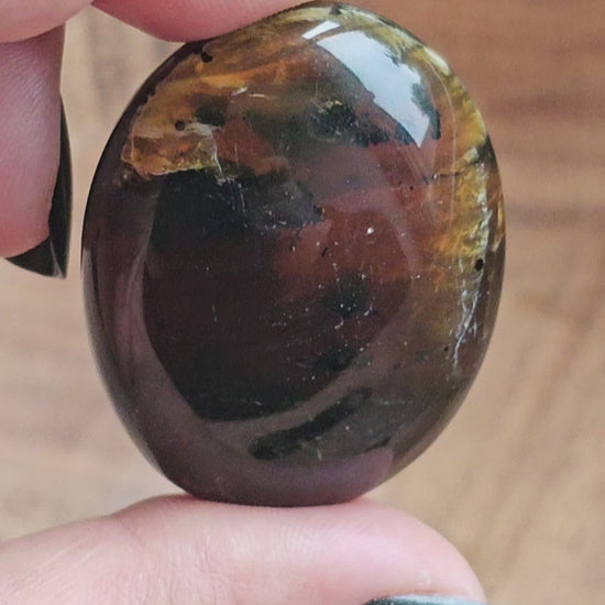 Amber & Petrified Wood Palm Stone with Blue UV Reaction | Sumatra - Indonesia (#18)