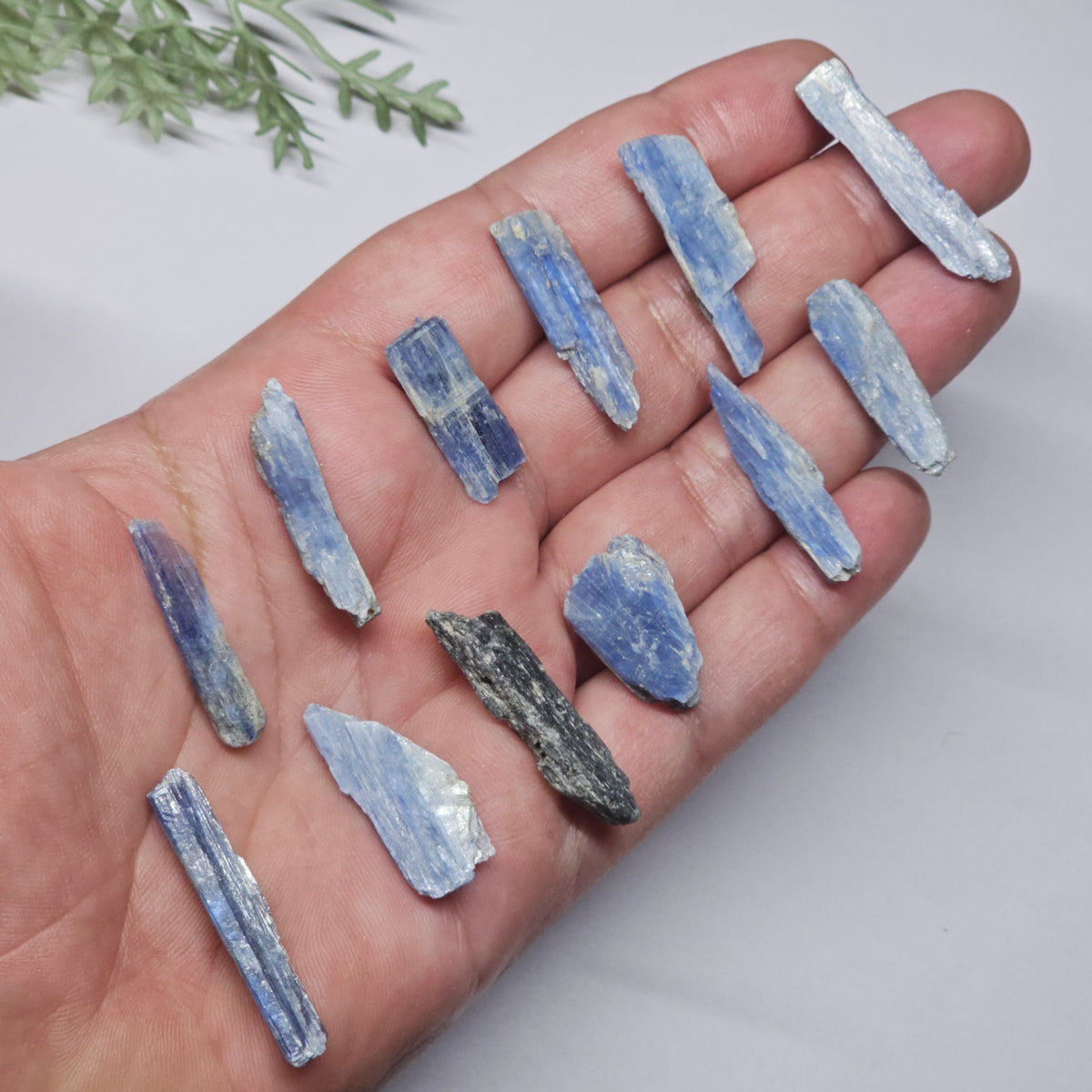 Raw Blue Kyanite | 12 Piece Mini Rough Crystal Pack (19g) Stone of Alignment