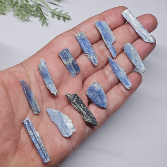 Raw Blue Kyanite | 12 Piece Mini Rough Crystal Pack (19g) Stone of Alignment